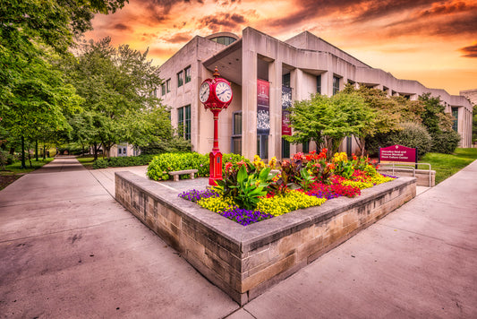 Red Clocks of IU II image 0