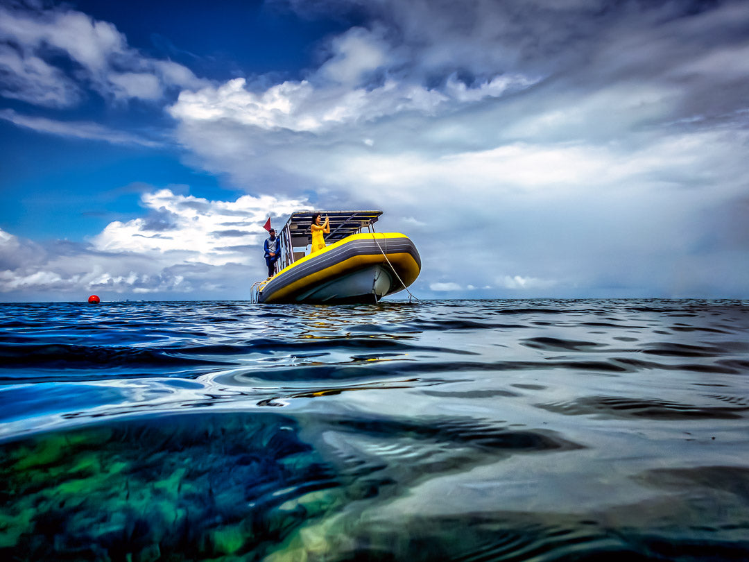 A Yellow Supermarine image 0