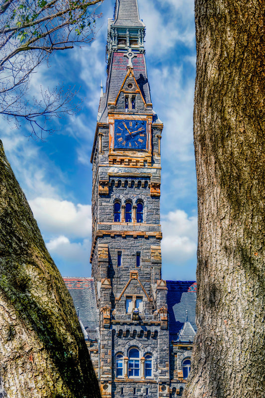 Healy Hall Through the Oak Trees image 0
