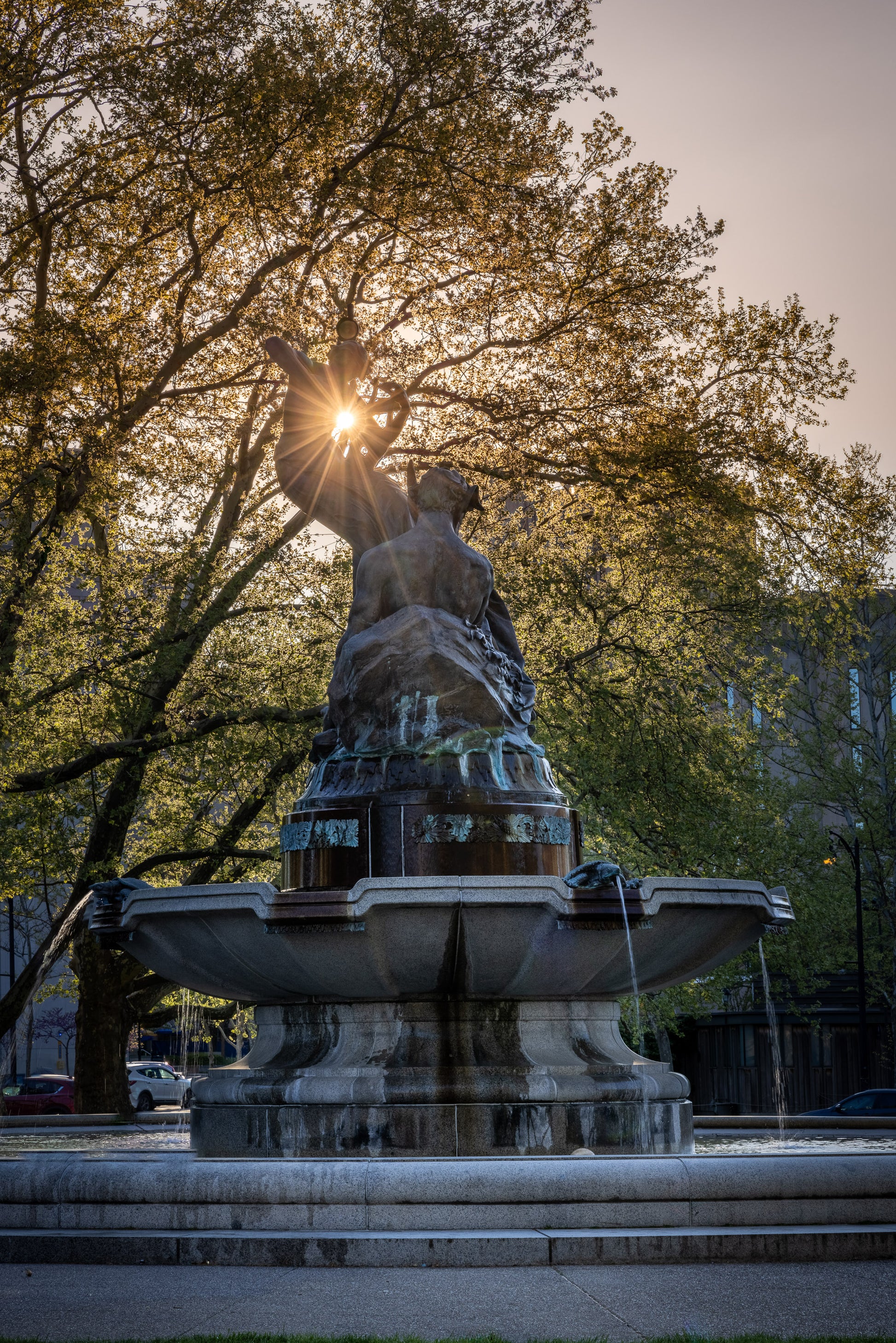 A Sunburst to Nature image 0