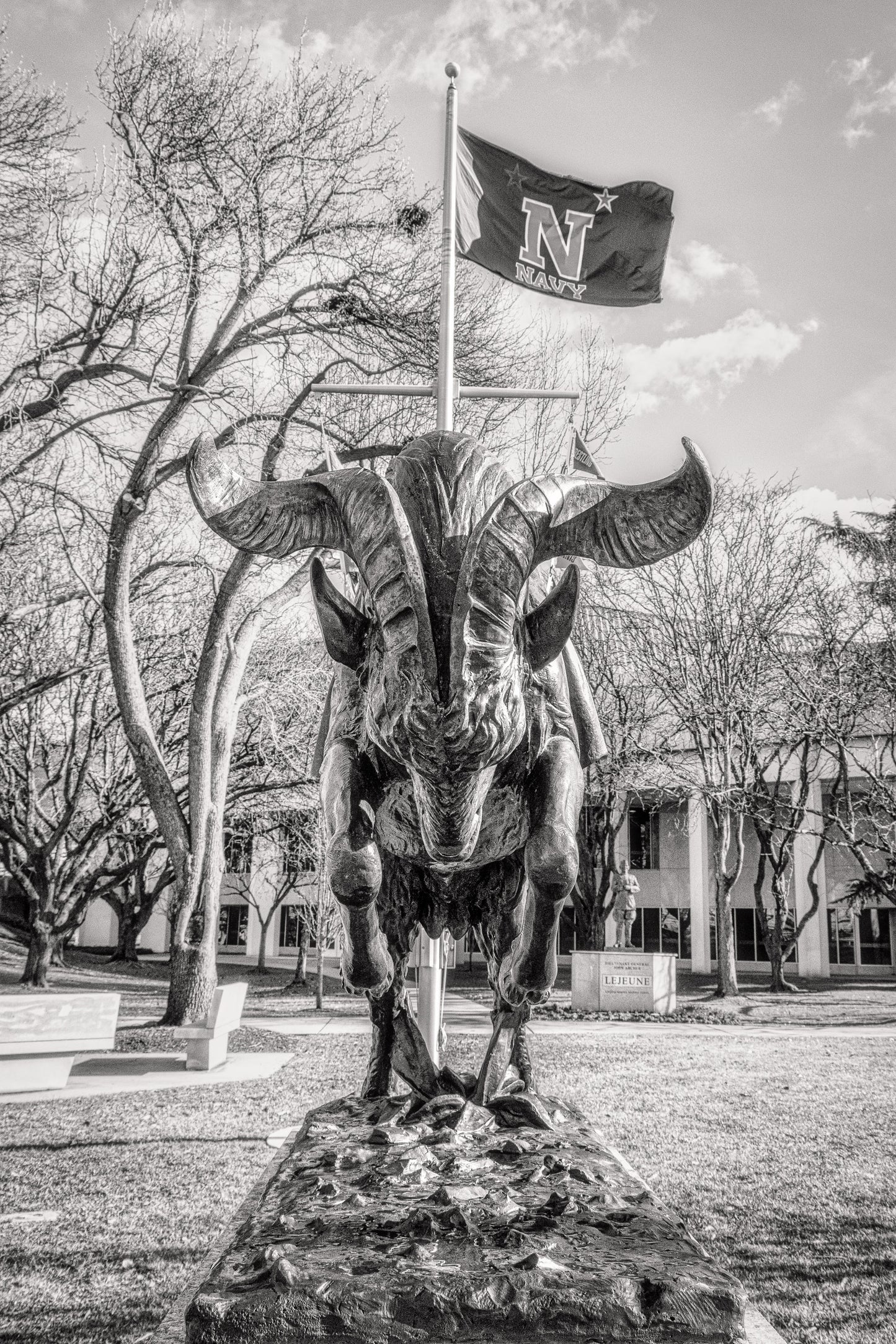Charging Bill the Goat BNW image 0