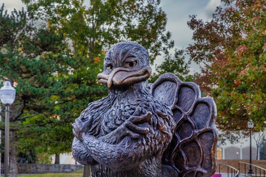 The Bronze Gobbler image 0