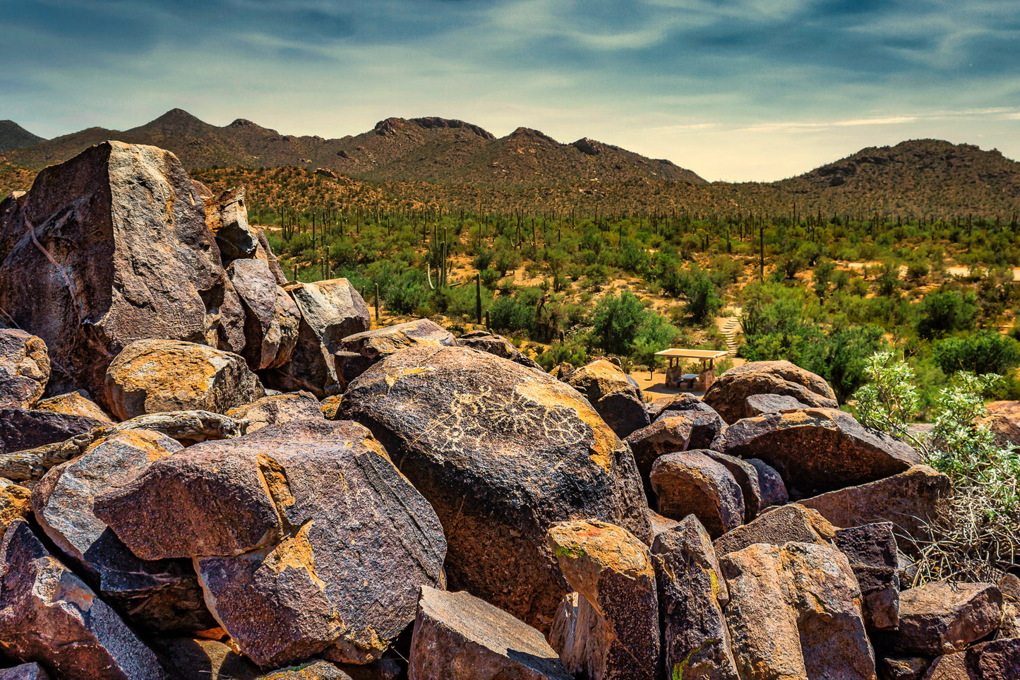 Petrified Petroglyphs in Prime Position image 0