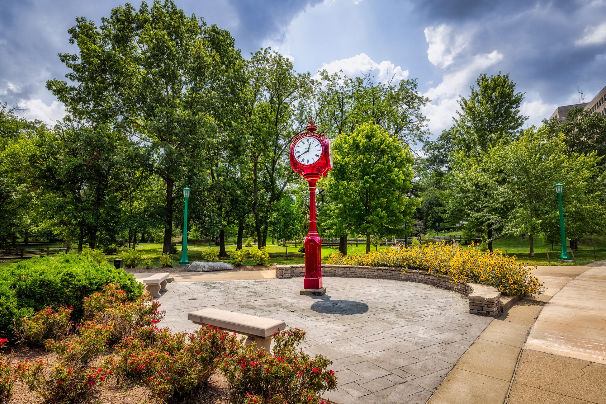 Red Clocks of IU I image 0