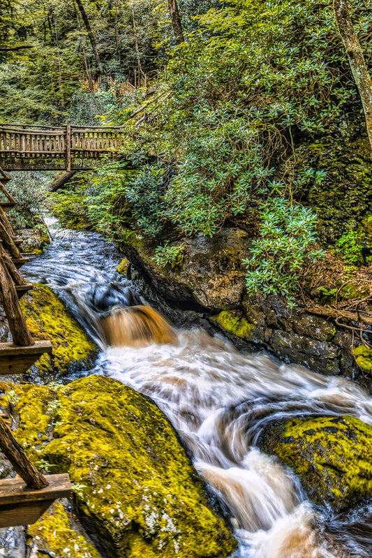 Under the Bridge at Bushkill Falls image 0