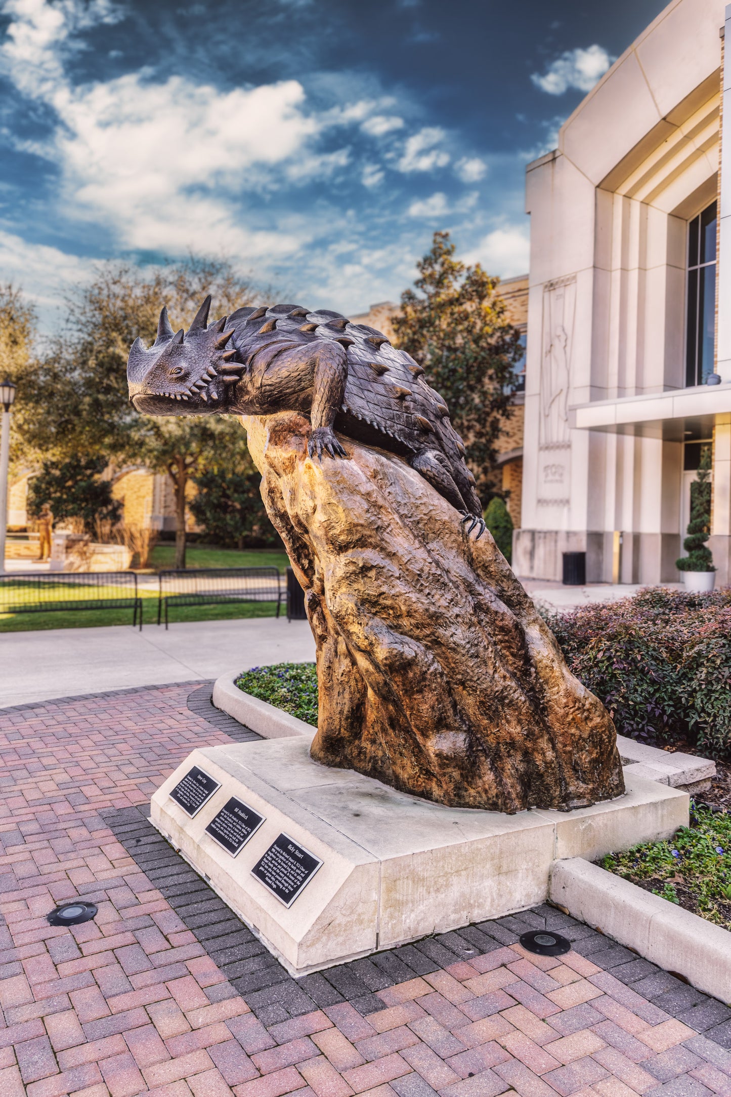 Horned Frog on High image 0