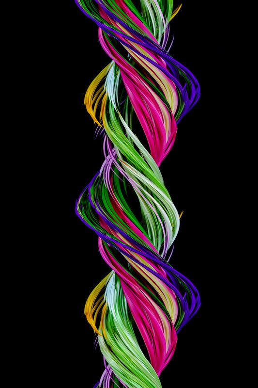 Spring I v7 r1171 image 0