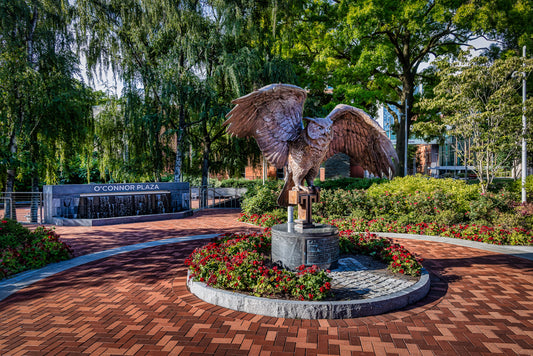 Hooter’s Wings at O’Conner Plaza image 0