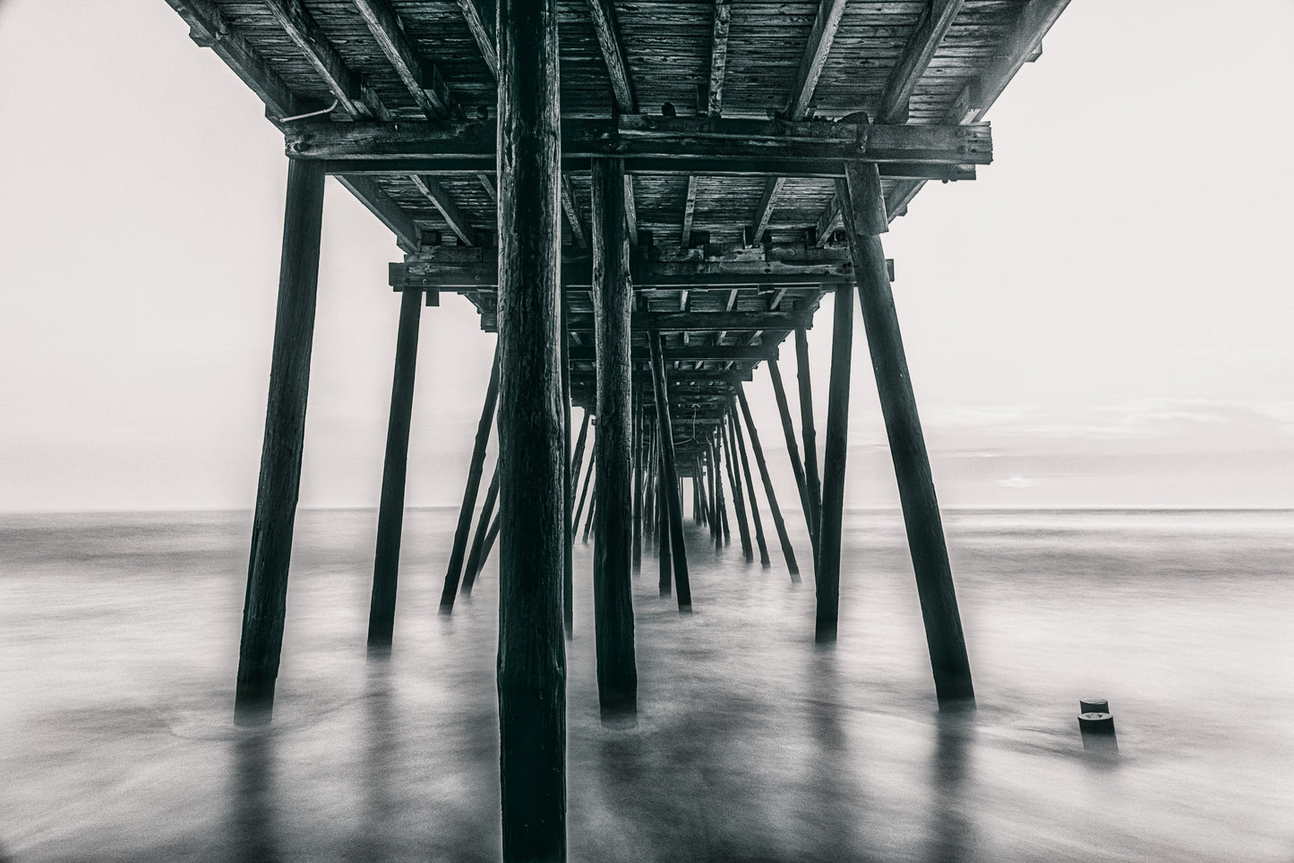 Under the Avalon Pier BNW image 0