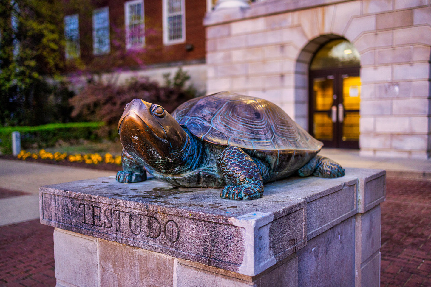 Testudo Statue image 0