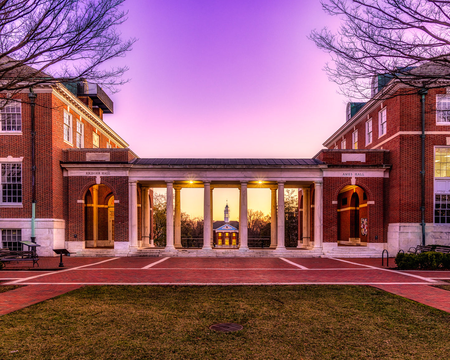 Shriver Hall through the Columns image 0