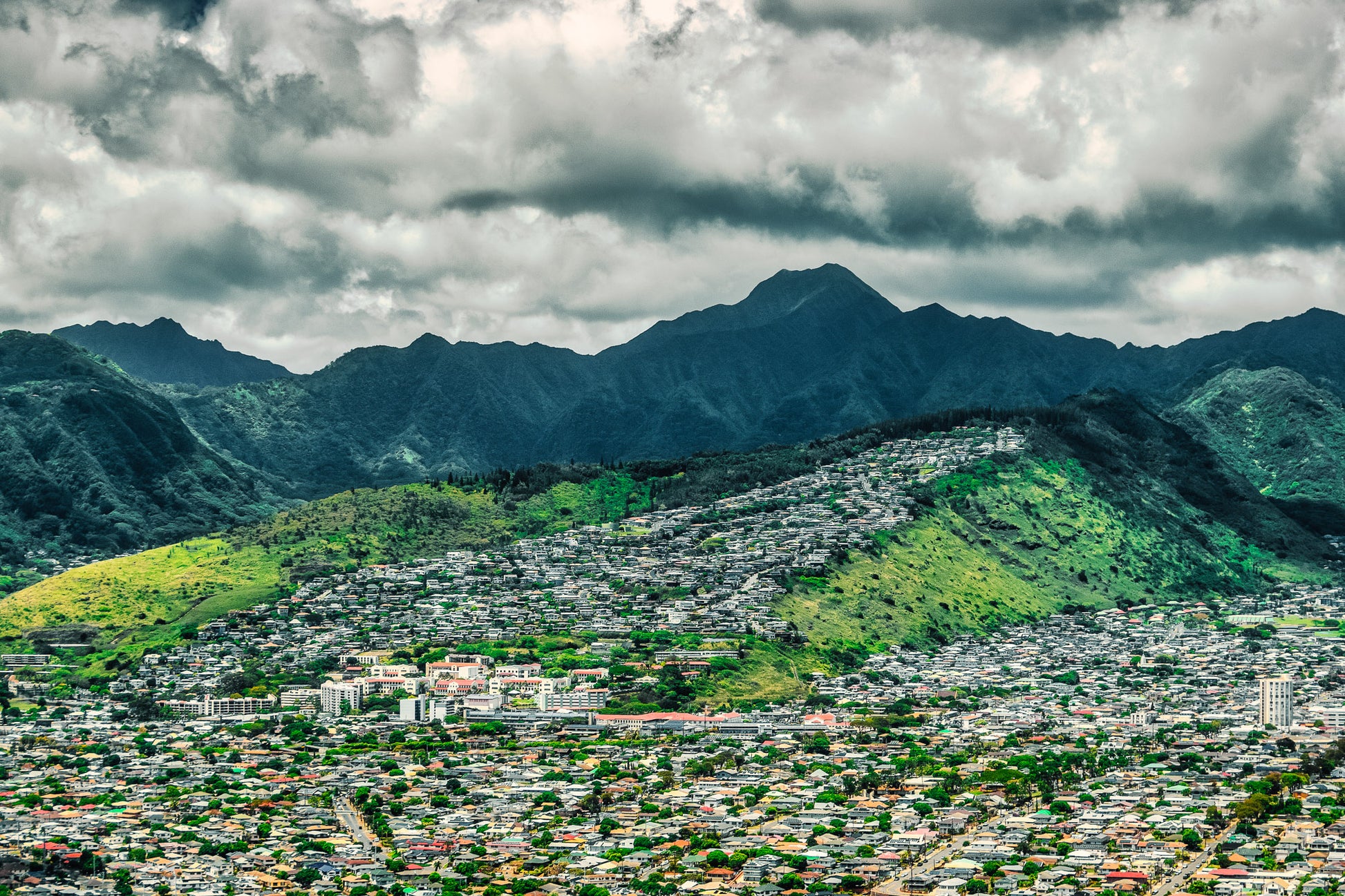 A Diamond Head in the Rough image 0