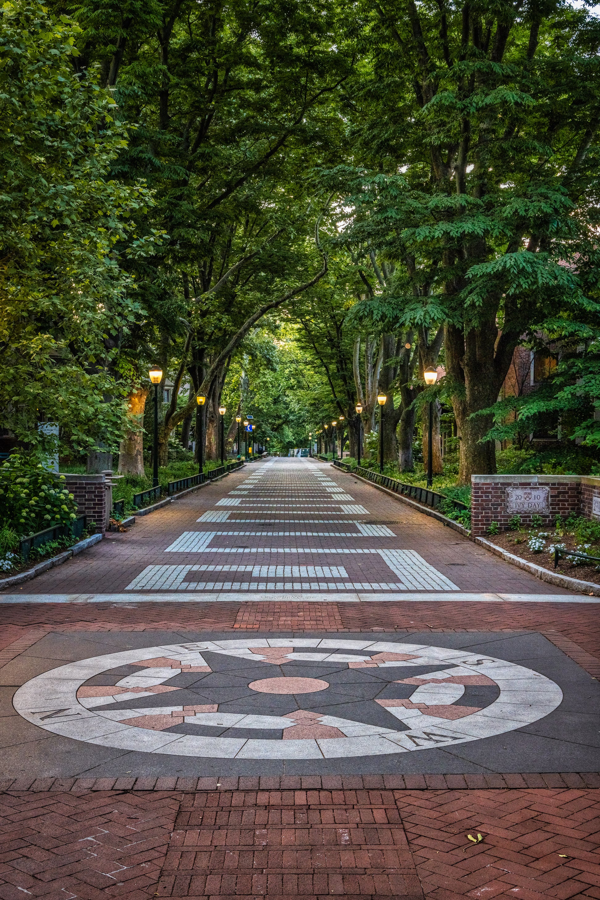 Morning on Locust Walk image 0