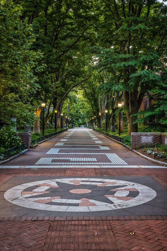 Morning on Locust Walk image 0