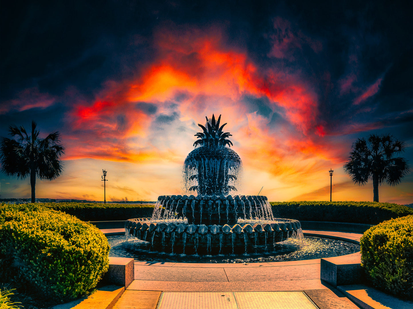 Pineapples at Sunrise image 0