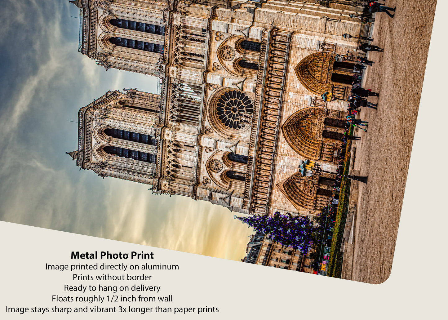 Notre Dame at Christmas