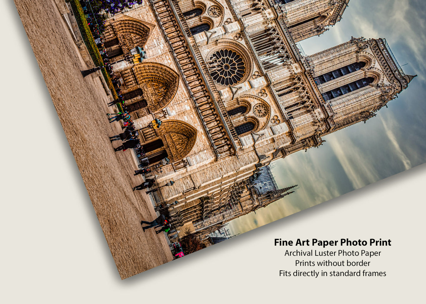 Notre Dame at Christmas