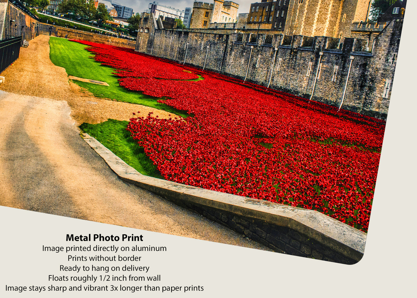 Sea of Red at the Tower of London