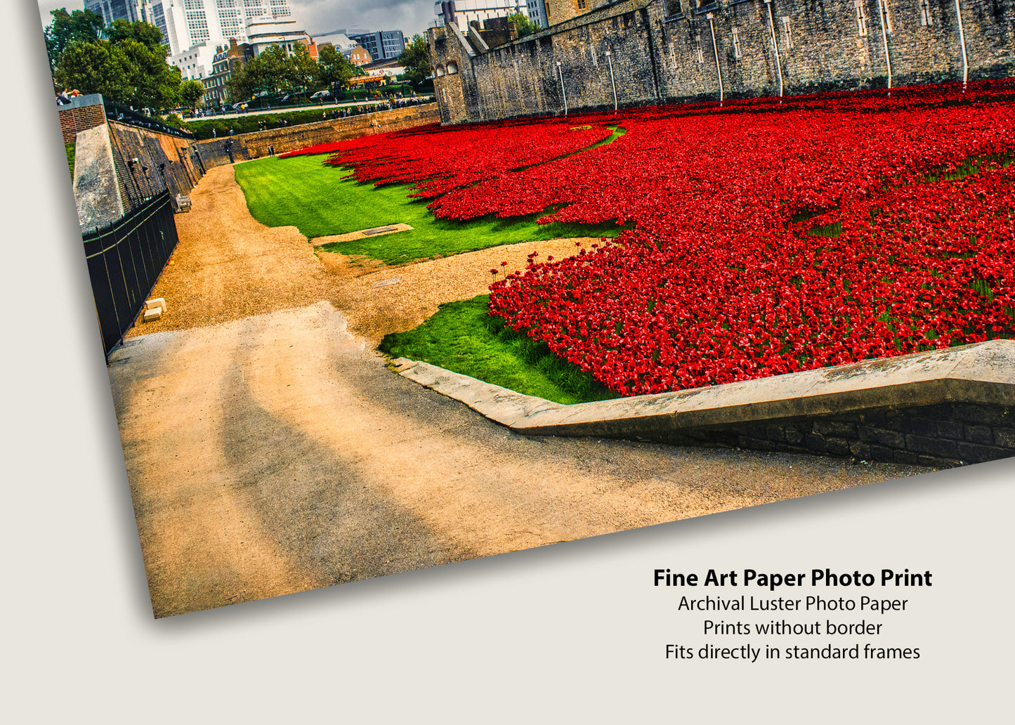 Sea of Red at the Tower of London