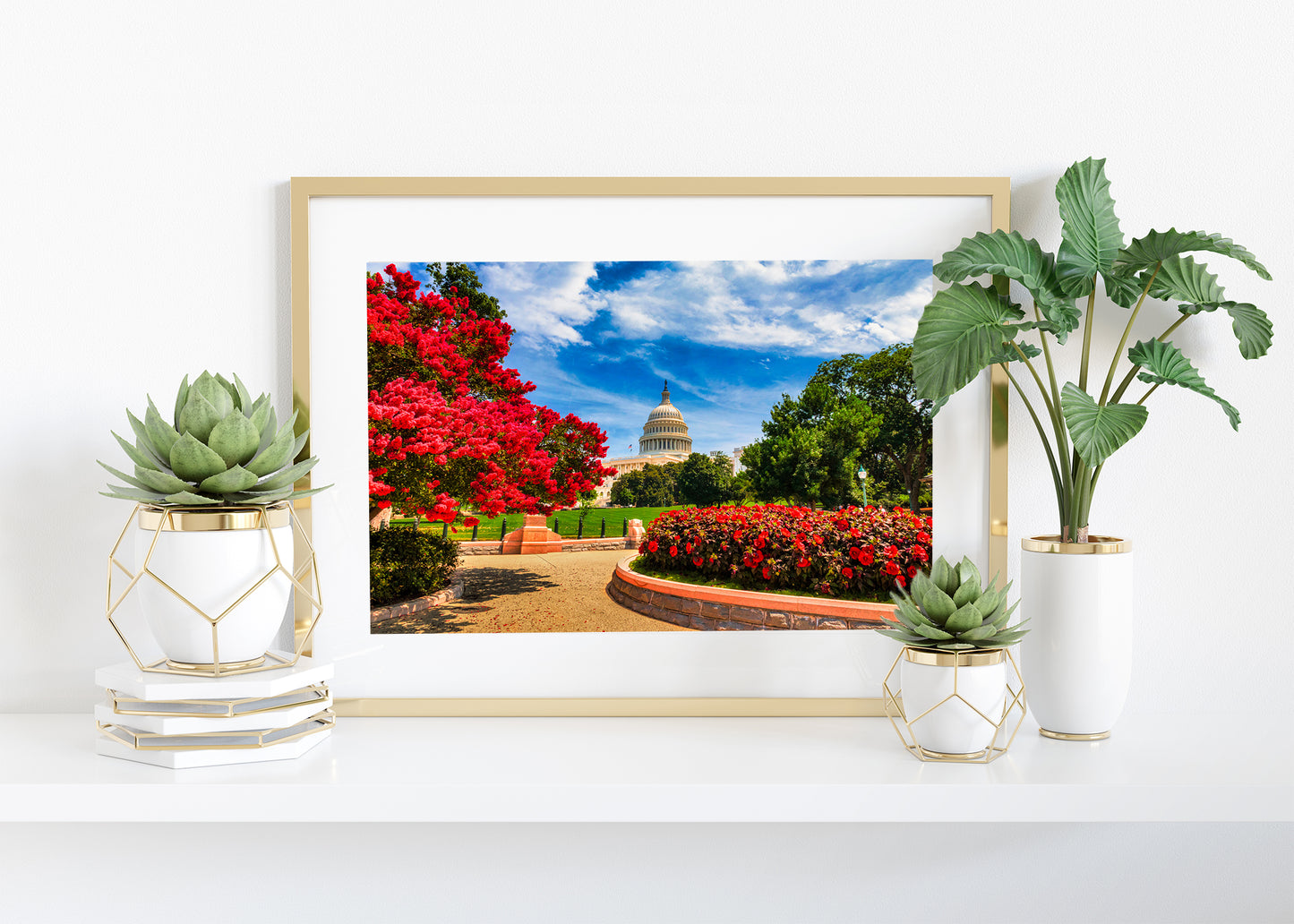 Capitol in Springtime