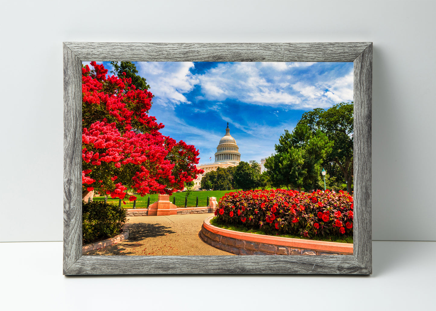 Capitol in Springtime