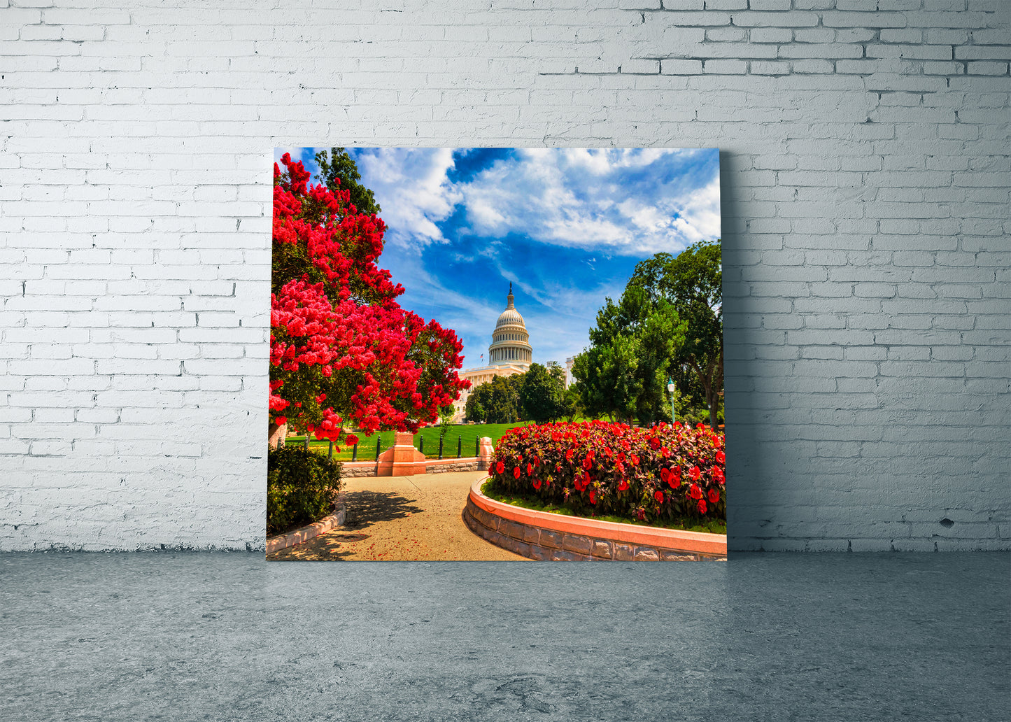 Capitol in Springtime