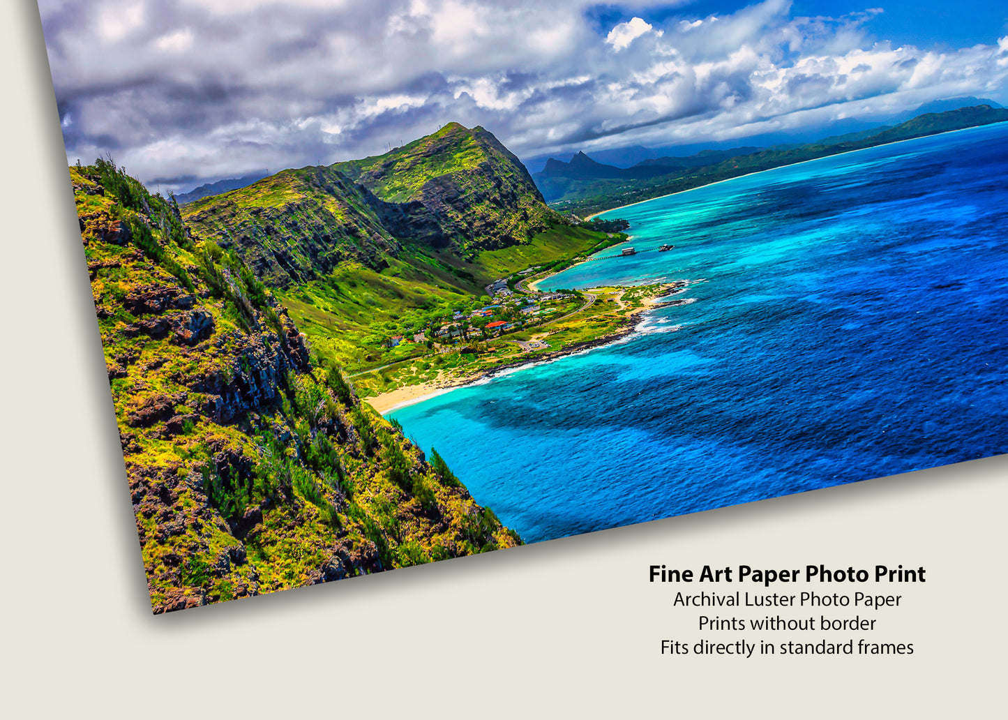 View from the Makapu'u Point Lighthouse Trail