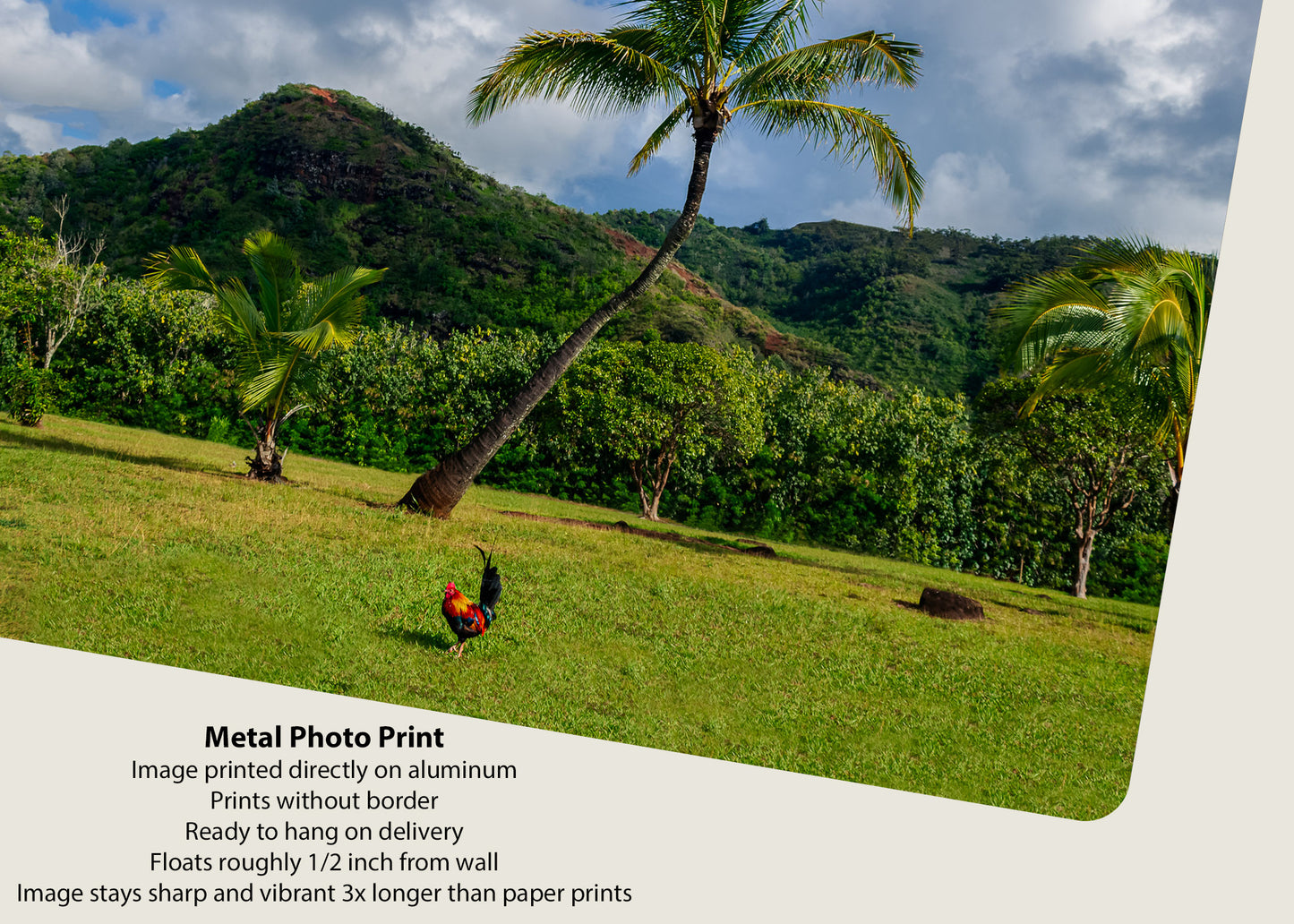 Paisaje de montaña hawaiano, lado de pollo