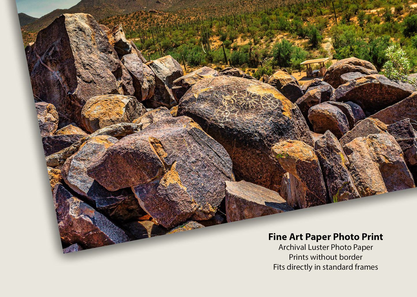 Petrified Petroglyphs in Prime Position