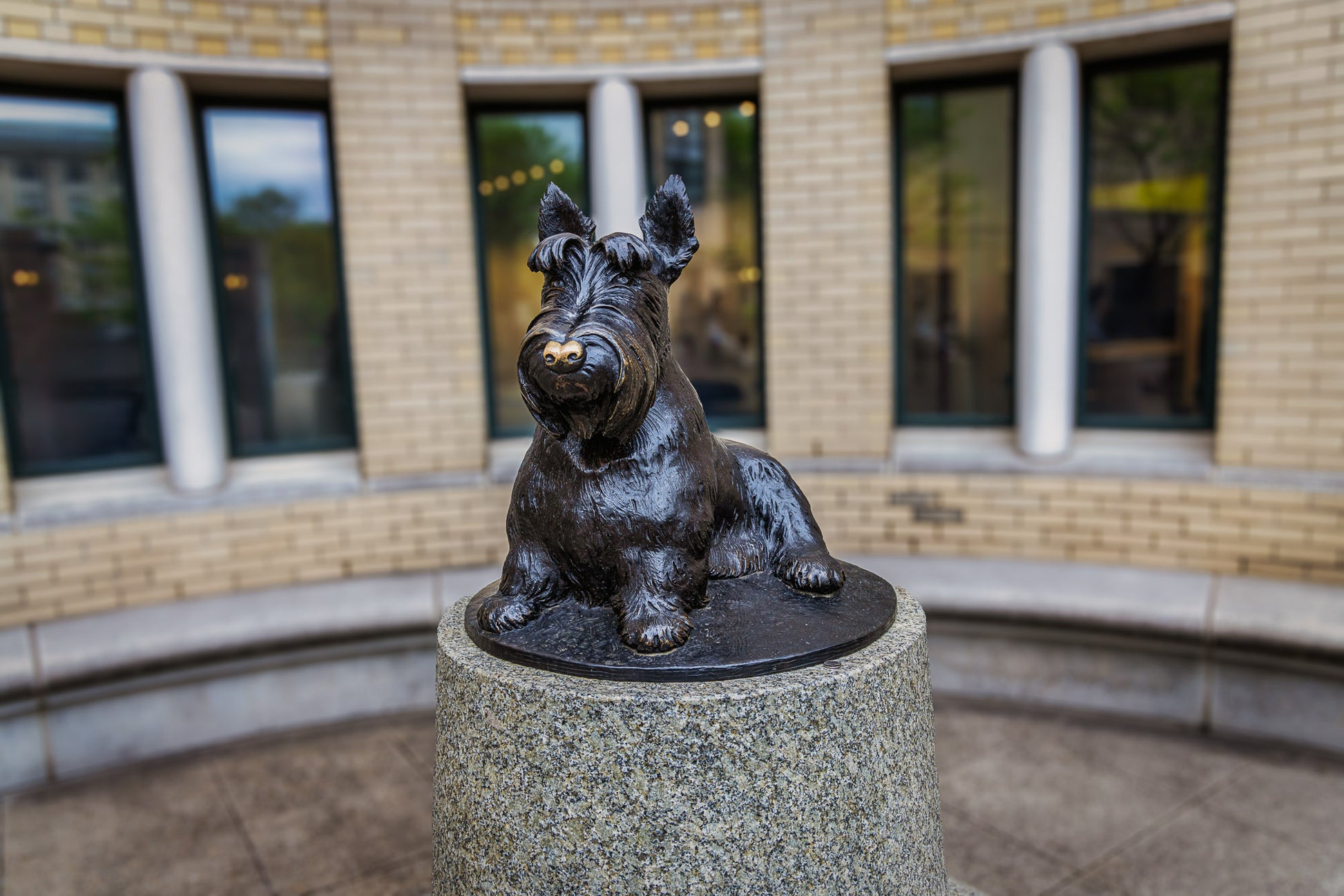 The Tartan Terrier image 0