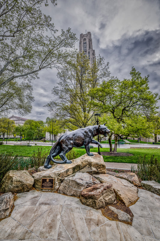 Panther Pride image 0