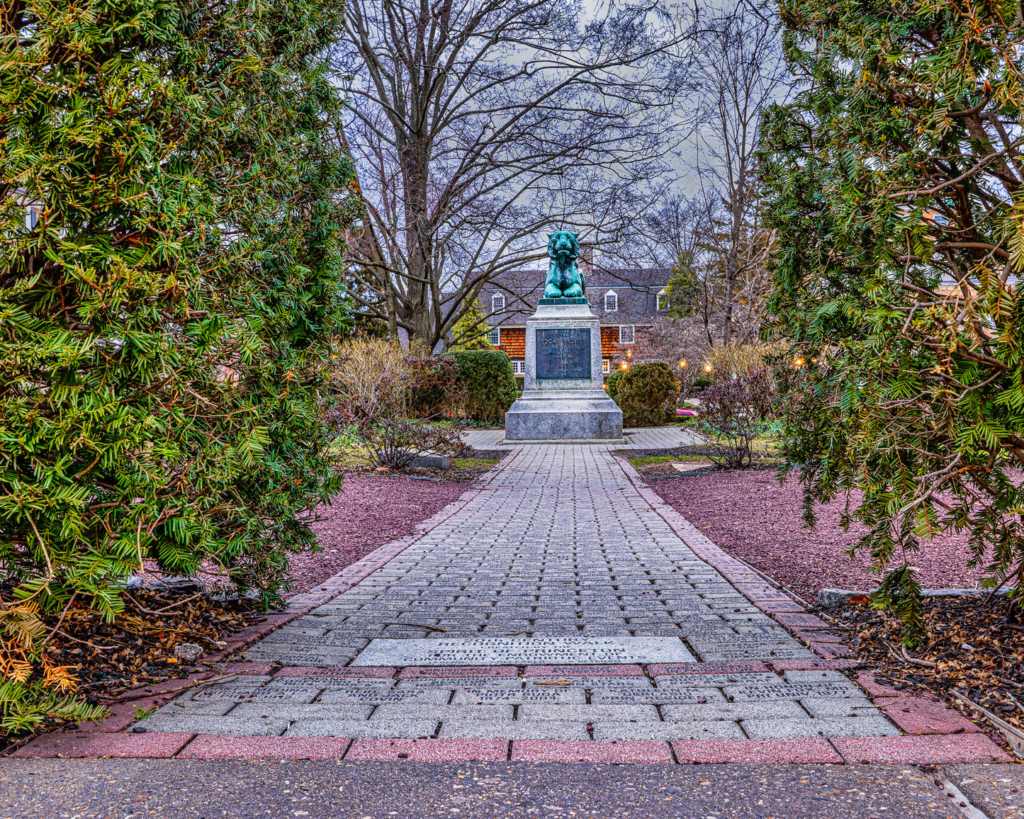 A Recognizable Tiger image 0