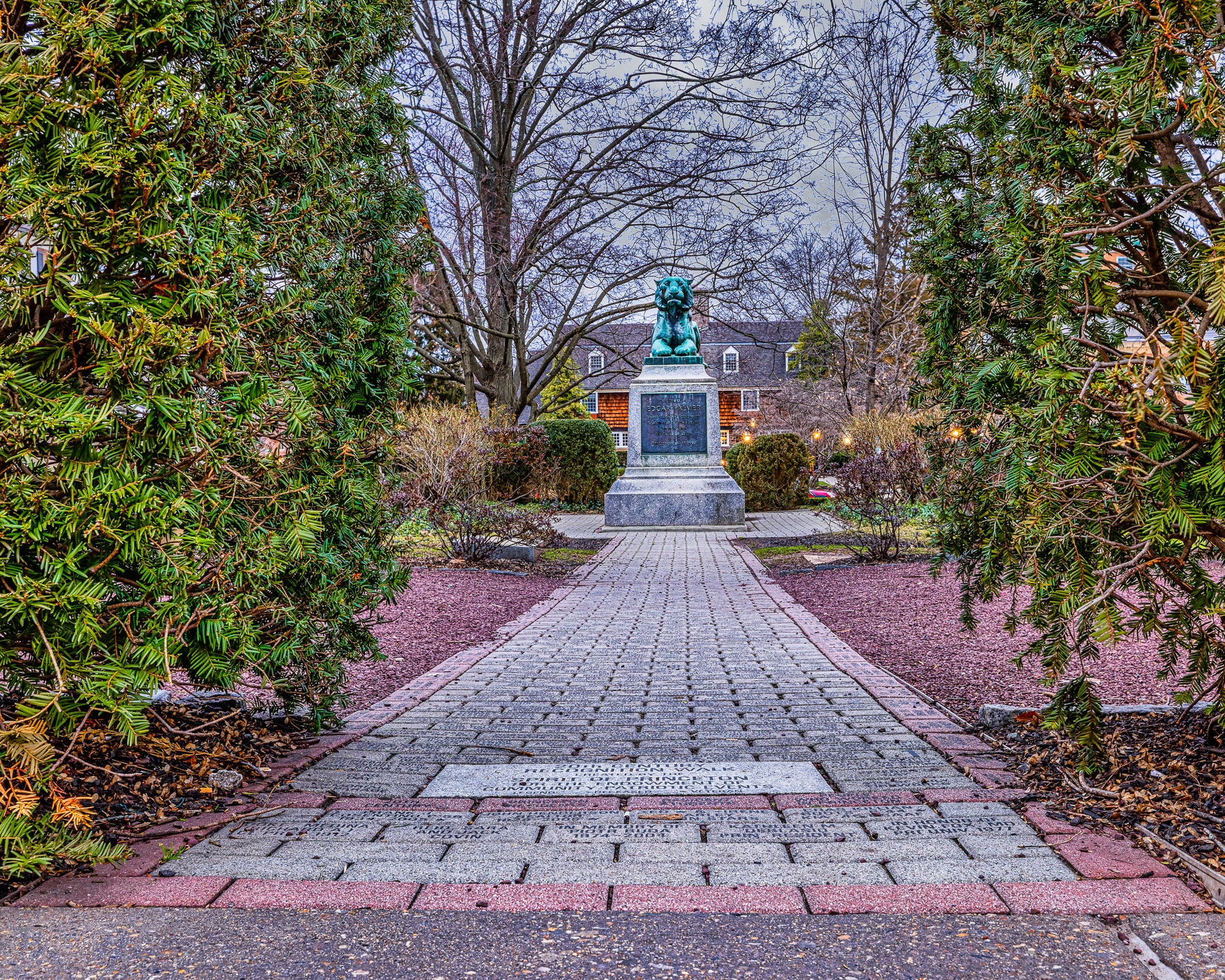 A Recognizable Tiger image 0