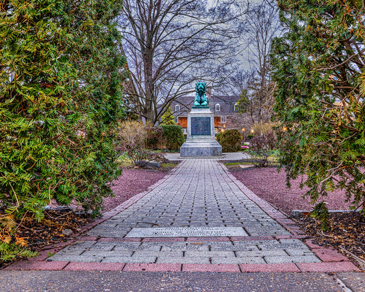 A Recognizable Tiger image 0