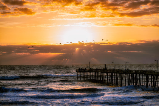 Morning Flight at Nag Head’s Pier image 0