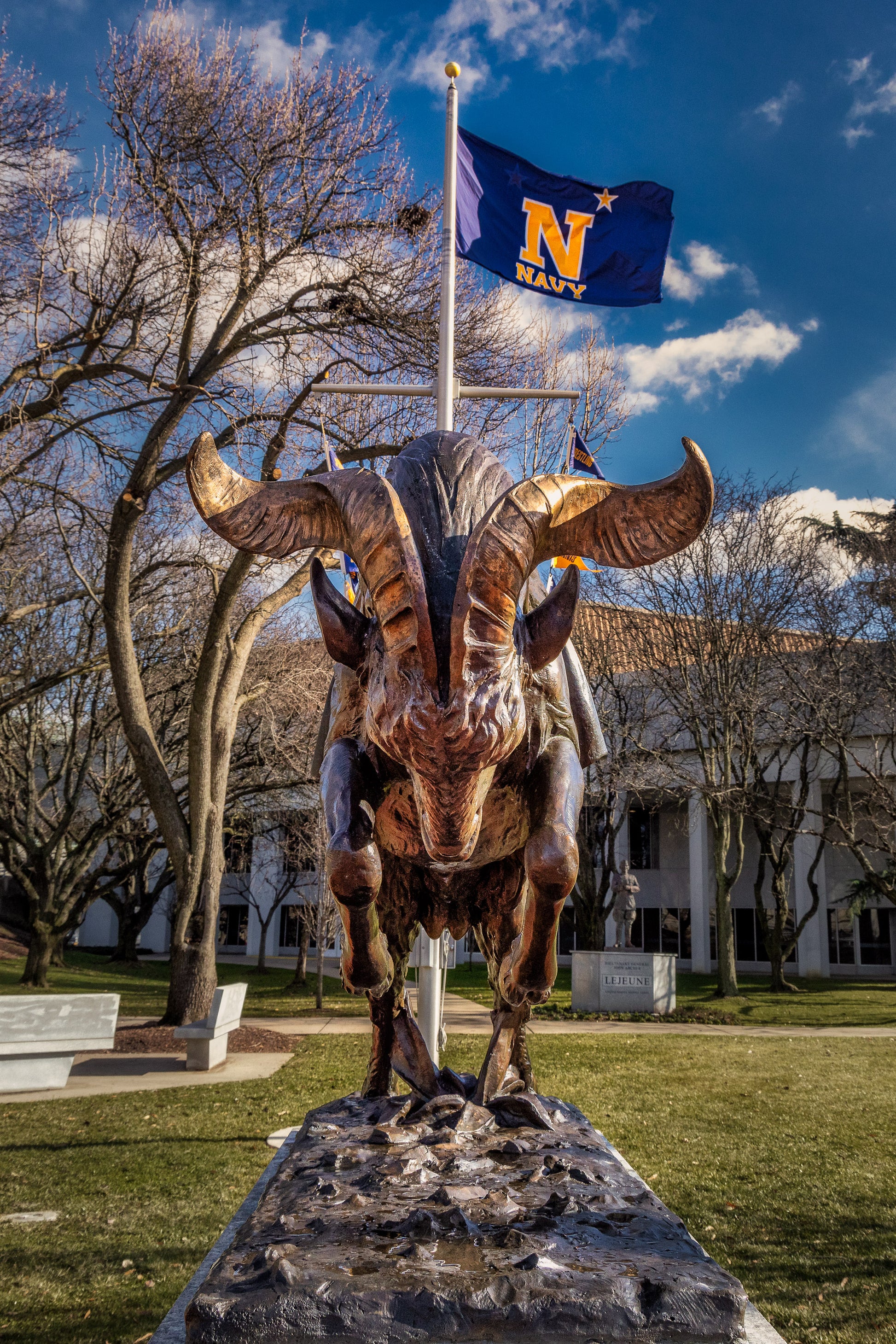 Charging Bill the Goat image 0