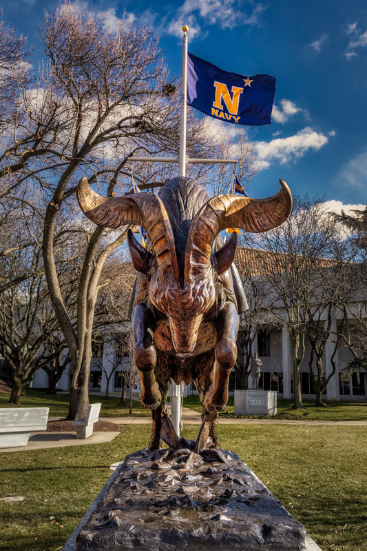 Charging Bill the Goat image 0