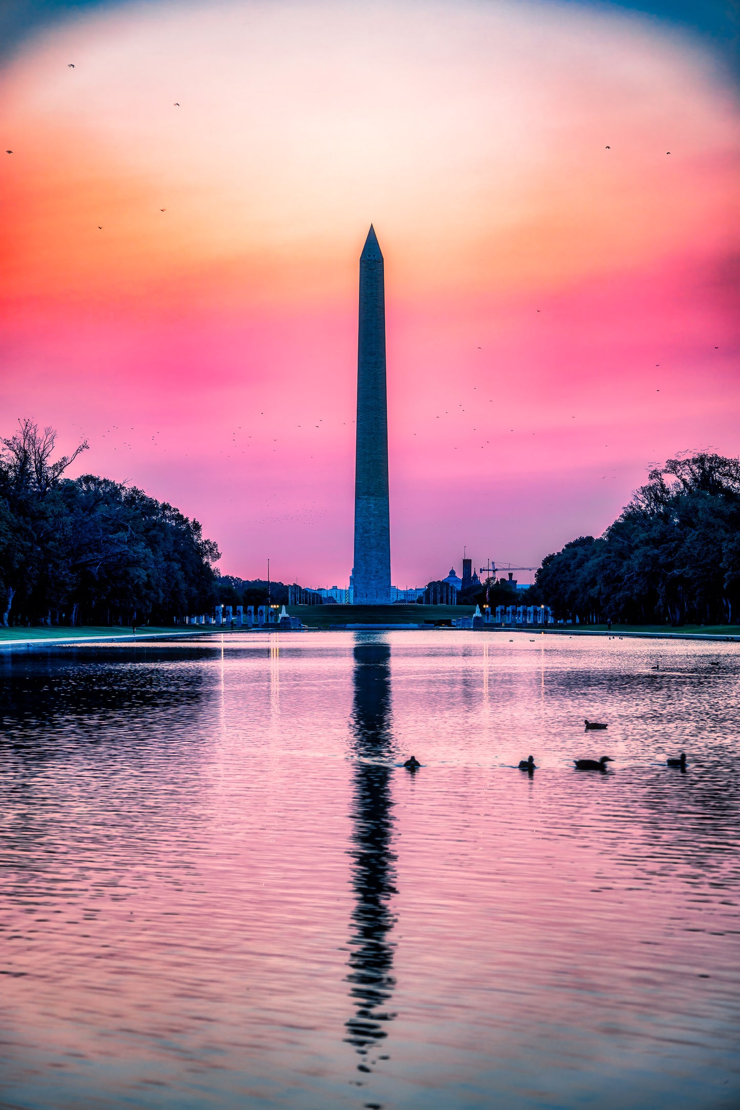 Sunrise over Reflecting Pool image 0