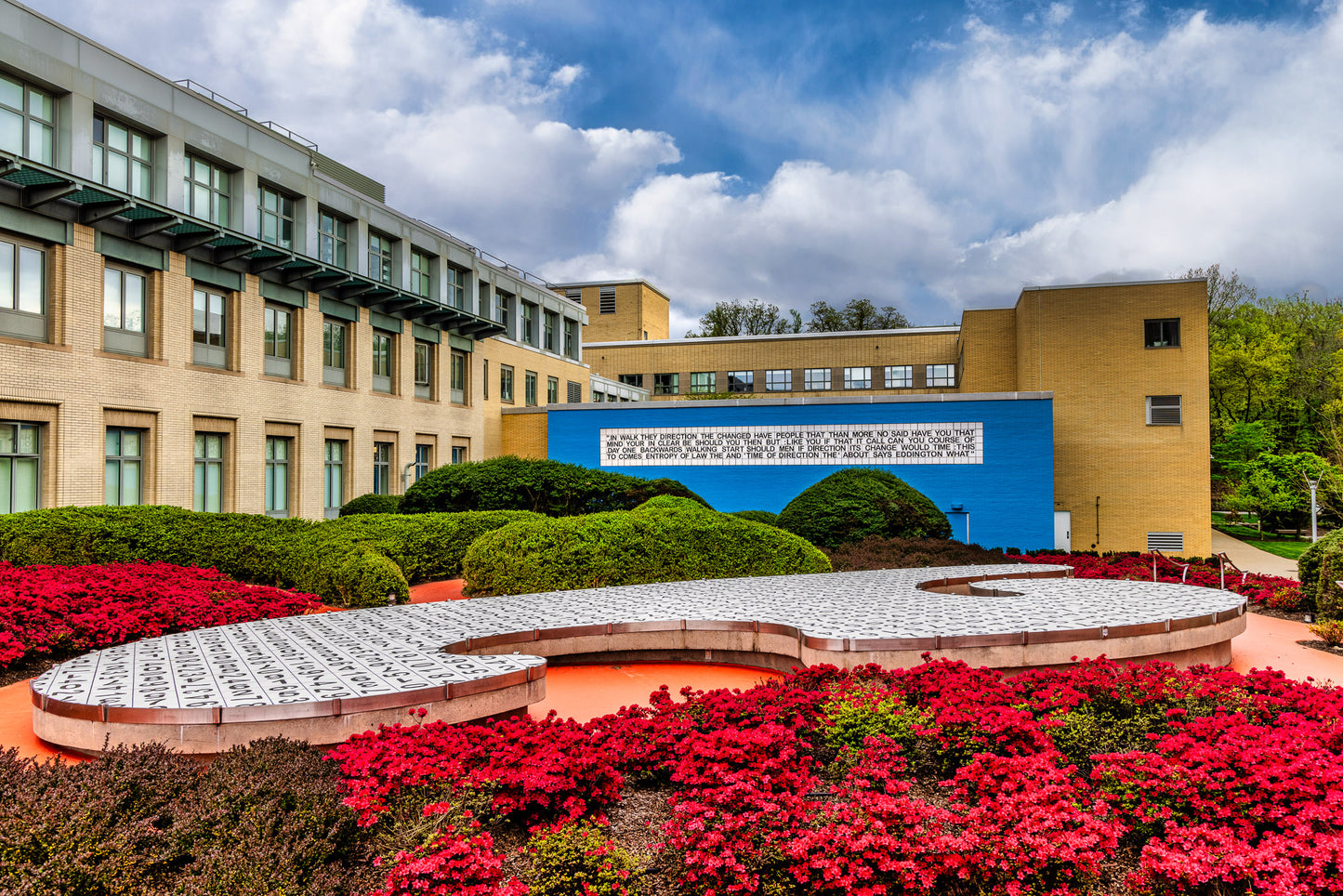 Killing Time in the Kraus Campo Garden image 0