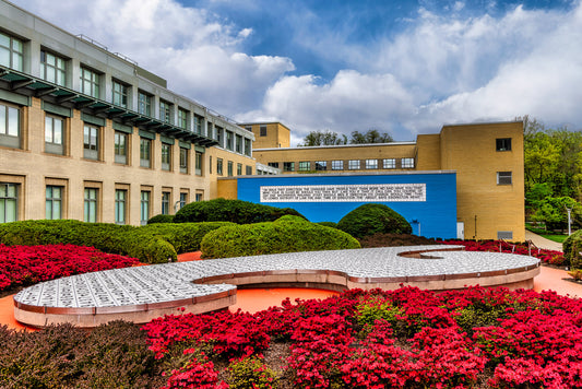 Killing Time in the Kraus Campo Garden image 0