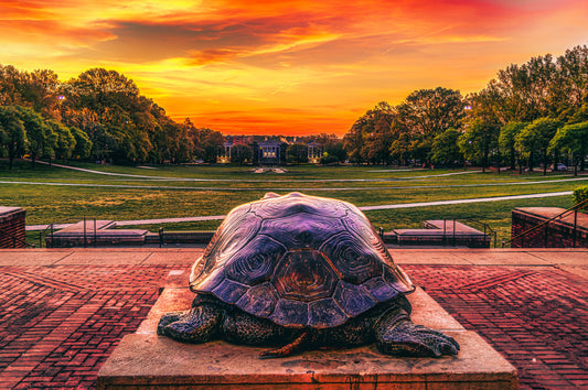 Slowly Crawling Towards a Red Future image 0