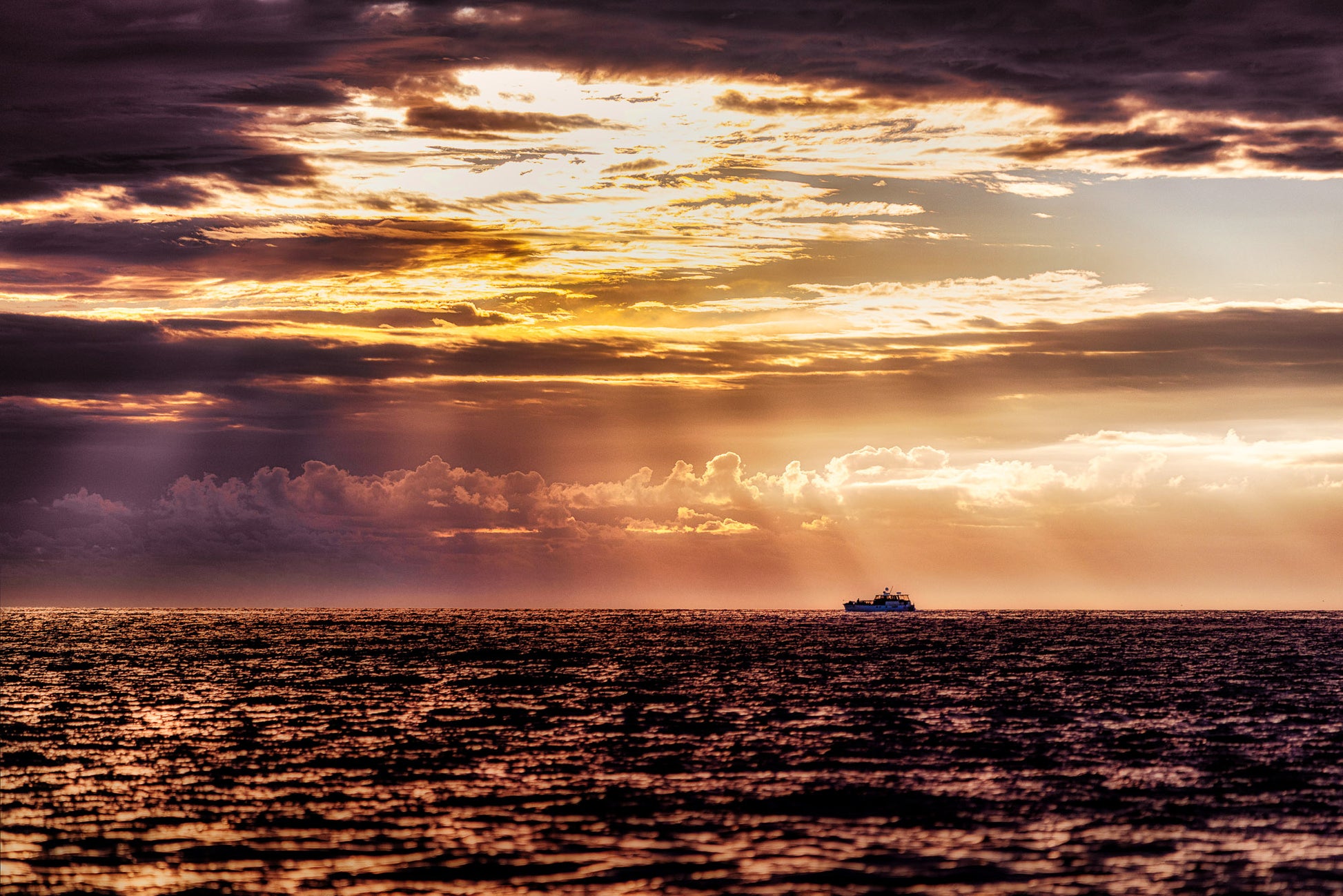 We Fish at Dawn image 0