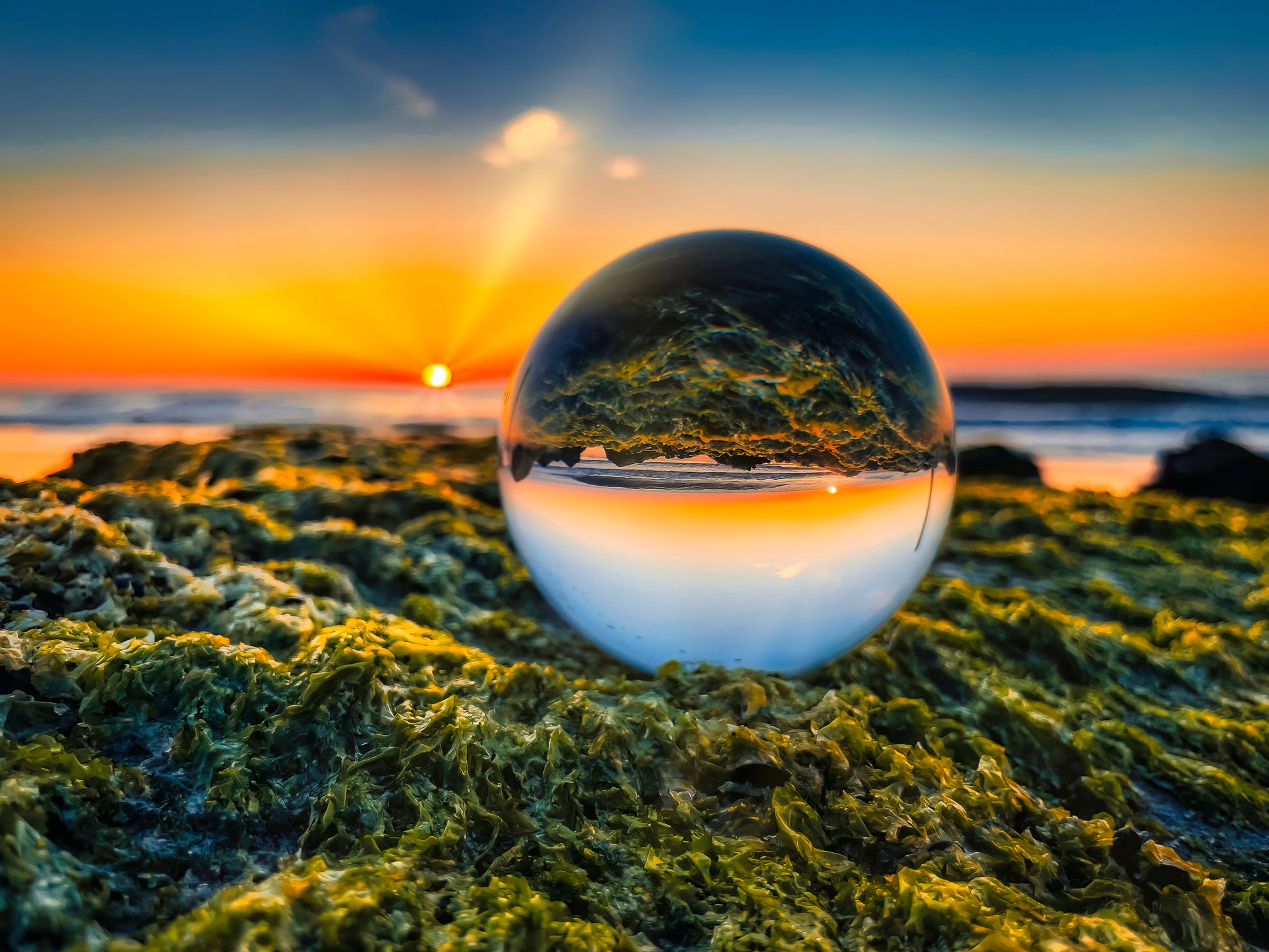 Sunrise through the Lensball image 0