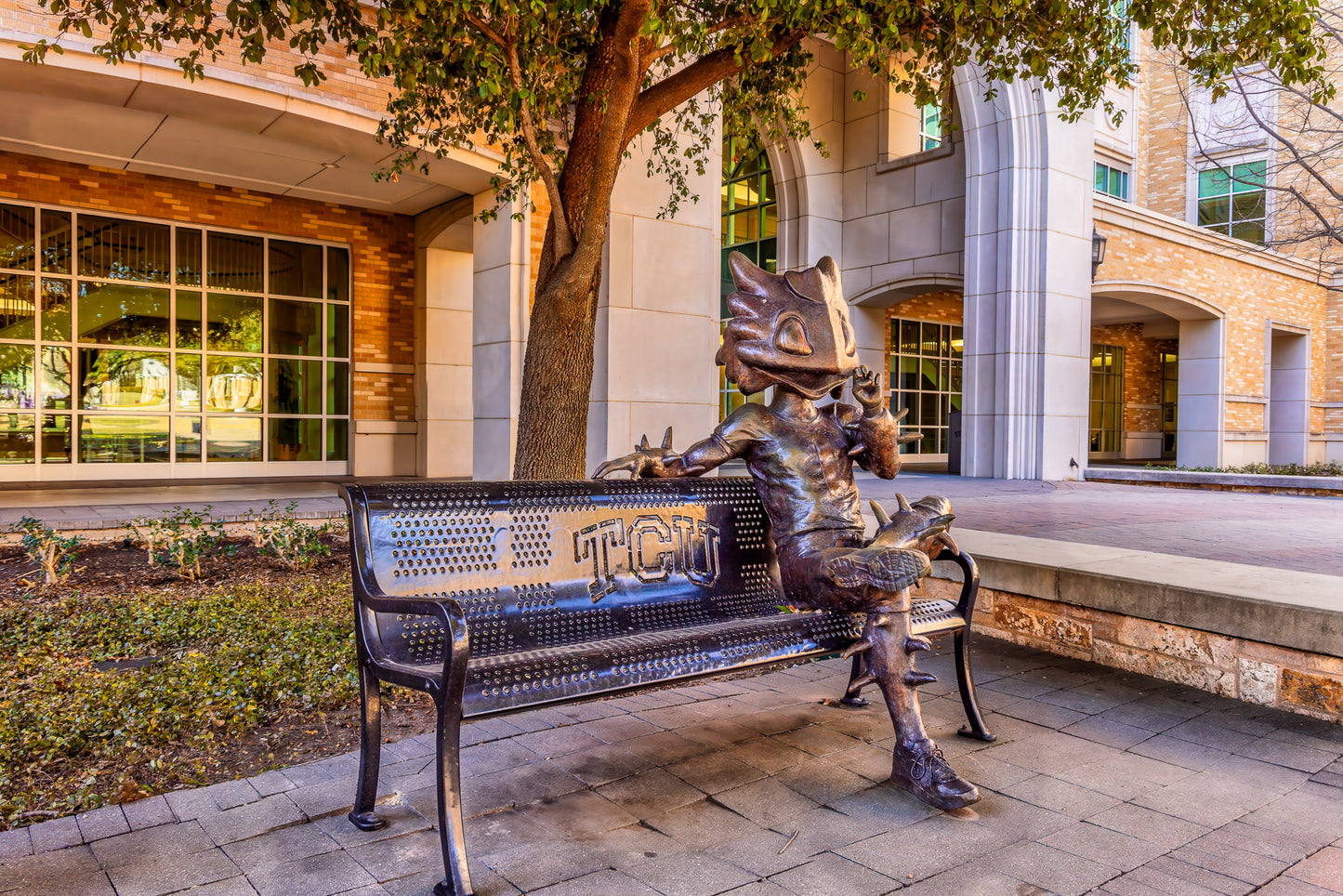 A Friend is Waiting for TCU image 0