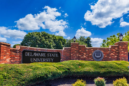 Welcome to Delaware State image 0