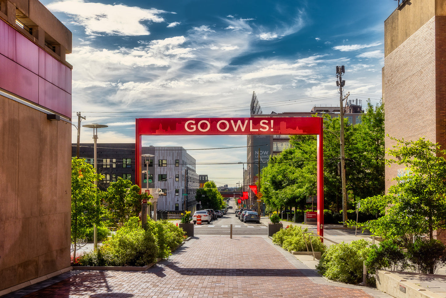 Go Owls, Go! image 0