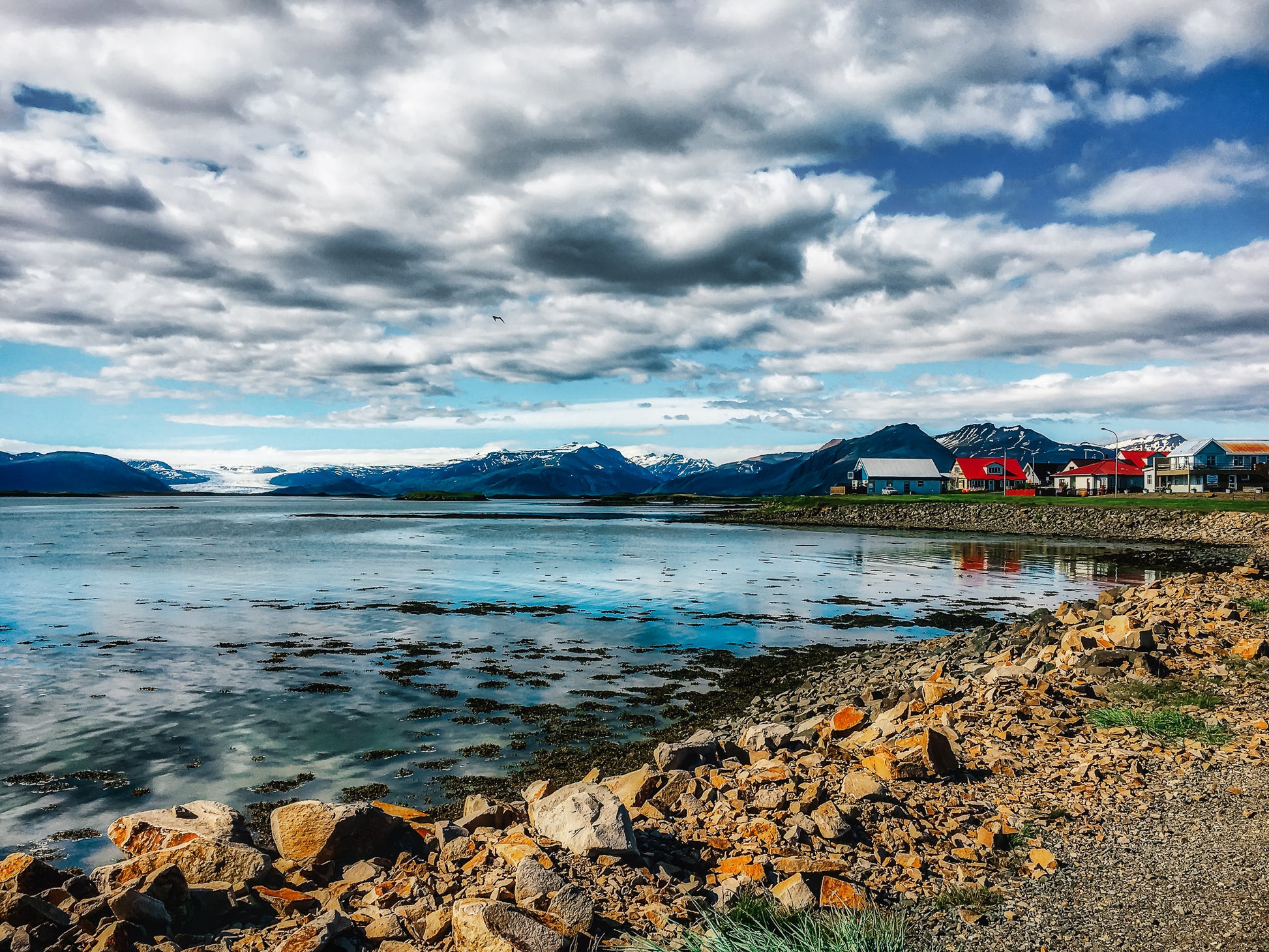 Hofn Bay by Day image 0