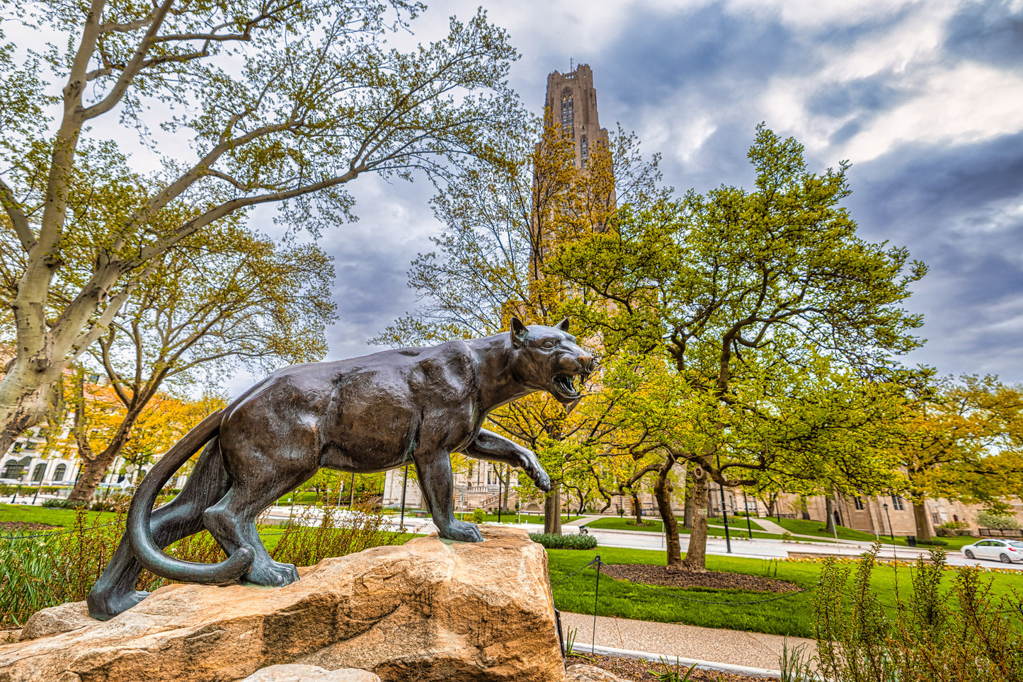 Panther Pride II image 0