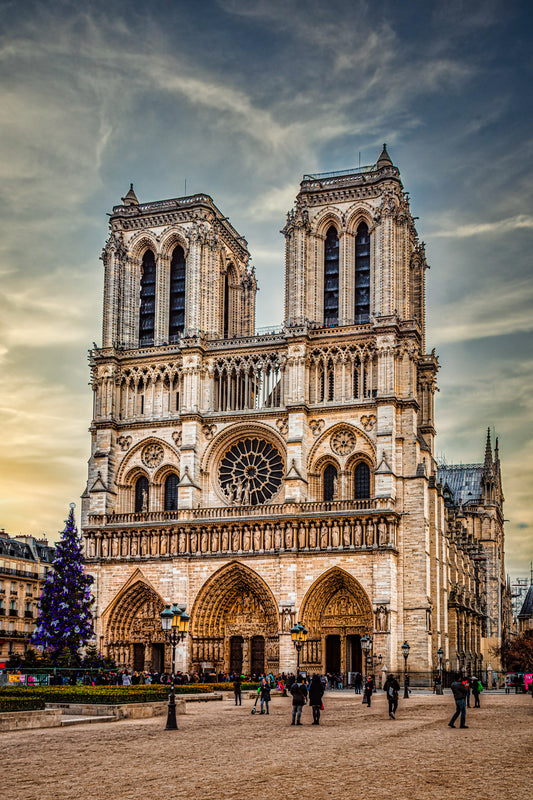 Notre Dame at Christmas image 0