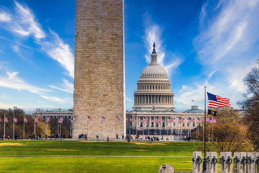 An Economical View of the National Mall image 0